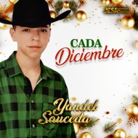 Cada Diciembre - Single - Yandel Sauceda
