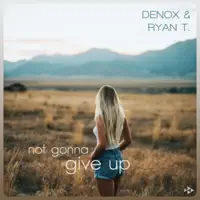Not Gonna Give Up