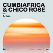 Adios artwork