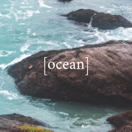 ocean (feat. runpaccs & Wassup Rocker) JustinPunpun