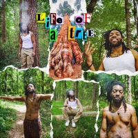 Life of a Tree - Gump The NappyHead Kid