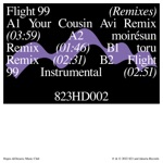 Please Wait - Flight 99 (feat. Ta-ku & matt mcwaters) [moirésun Remix]