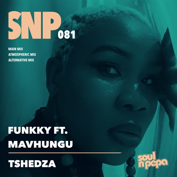 Tshedza - Single