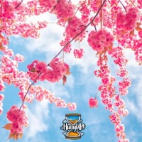 Don't Let Go - Single - BaeMacs