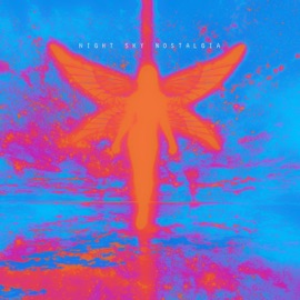 Night Sky Nostalgia Indy Skies & Andrew Meyer