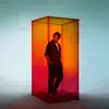 Joris Delacroix - Unexpected