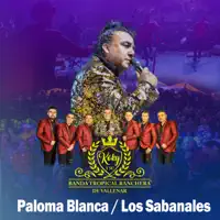 Paloma Blanca / Los Sabanales — Koky y su banda tropical ranchera