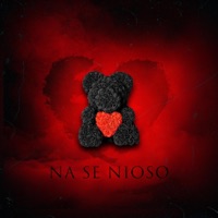 Na Se Nioso - Single - Young B