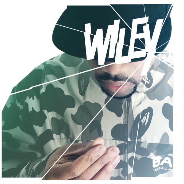 Wot Do U Call It? - Single - Wiley