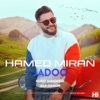 Hamed Miran