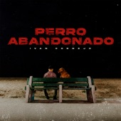 Perro Abandonado artwork