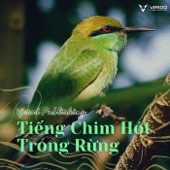 Chim Sẻ Đi Nắng artwork