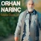 Salınarak Damdan İner - Orhan Narinç lyrics