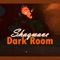 Dark Room - ShaqWave lyrics