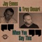 When You Say This (Applebottom Remix) - Jay Ennes & Troy Denari lyrics
