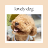 Lovely Dog - SONGPIANO