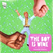 The Boy Is Mine (feat. Rosalie) [Sasson Remix] artwork