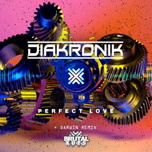 Perfect Love - Single