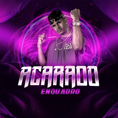 A Cara do Enquadro - Single