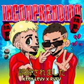 Incomprendido artwork