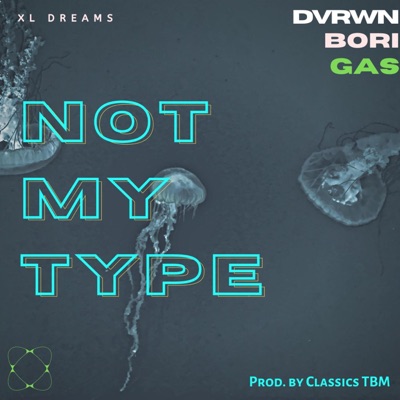 NOT MY TYPE (feat. DVRWN, BORI & GAS) - Single