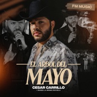 El Árbol Del Mayo - Single - Cesar Carrillo & Banda La Misma Escuela