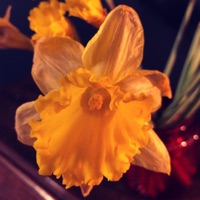 Pass the Day - Single - Robert Lane