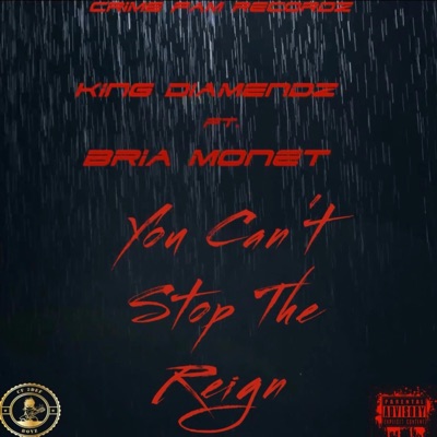You Can't Stop the Reign (feat. Bria Monet) - Single