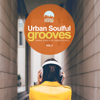 Urban Soulful Grooves Vol.2: Urban Vibes for Urban People - Verschiedene Interpret:innen