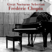 Great Nocturne Selection - Various Artists