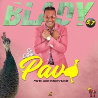 El Pavo - Single - BLADY 5.7