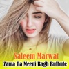 Zama Da Meeni Bagh Bulbule - Single