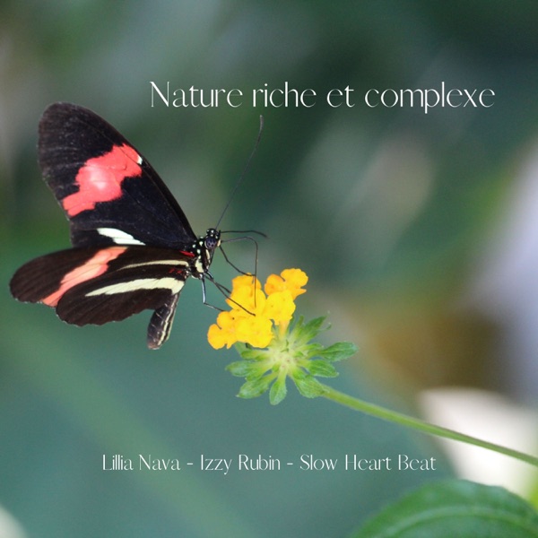 Nature Riche Et Complexe - Single
