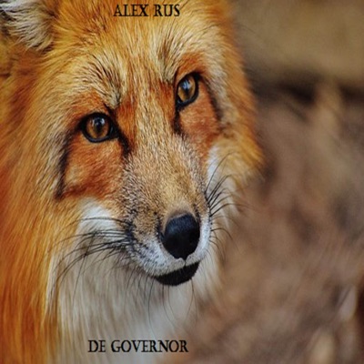 Song - Дикая Львица - De Governor