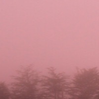 Słowa Rzucane Na Wiatr - Single - Krxziol