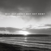 Why Not Here? Why Not Now? artwork