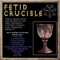 Fetid Crucible (feat. Luxxvivendi) - irlyfukwu lyrics