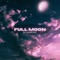 Full Moon (feat. VanillaStylez) - Ilish lyrics
