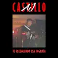 TE RECOMIENDO ESA INGRATA