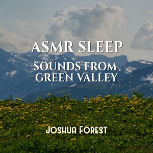 ASMR Sleep: Sounds from Green Valley, Soothing Woodland Wind