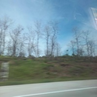 Self Development - Single - traumalight