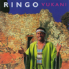 Ringo Madlingozi - Iyeza lemini artwork
