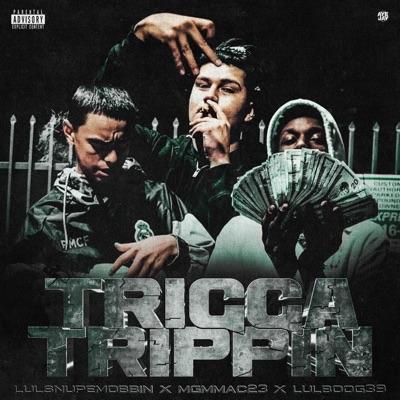 Trigga Trippin (feat. LulBoog39 & MgmMac23) - Single