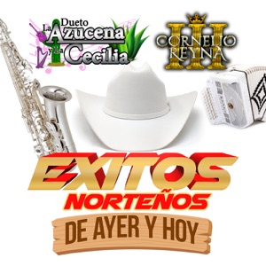 Éxitos Norteños de Ayer Y Hoy (Mariachi) [Norteño]