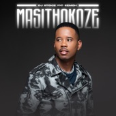 Masithokoze artwork