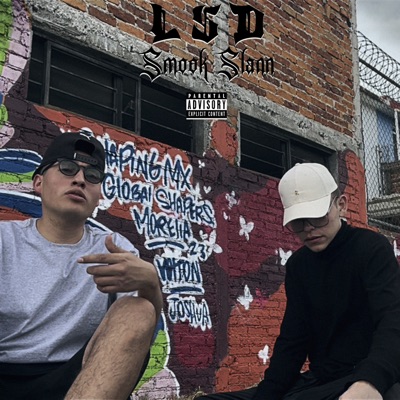 Lsd (feat. Slann) - Single