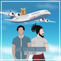 Güzel Günlerin Hatrına (feat. Tubi) [Remastered] - Single - ROE