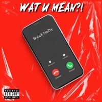 WYM (Wat You Mean) - Single - SnookNazty