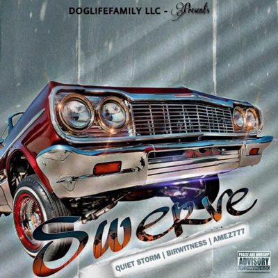Swerve (feat. Bir Witness & Amez 7 7 7) - Single