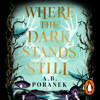 Where the Dark Stands Still - A.B. Poranek